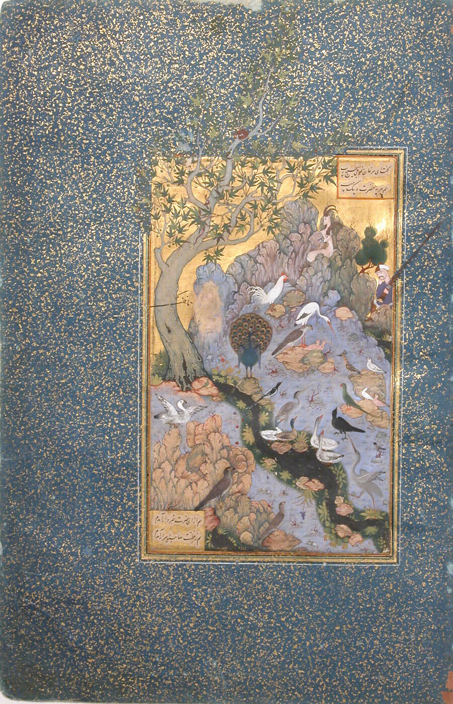 The Conference of the Birds